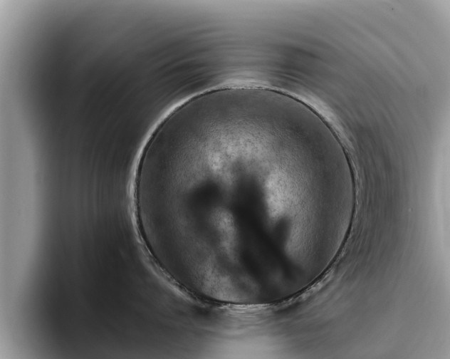 X0000093410864200710190943