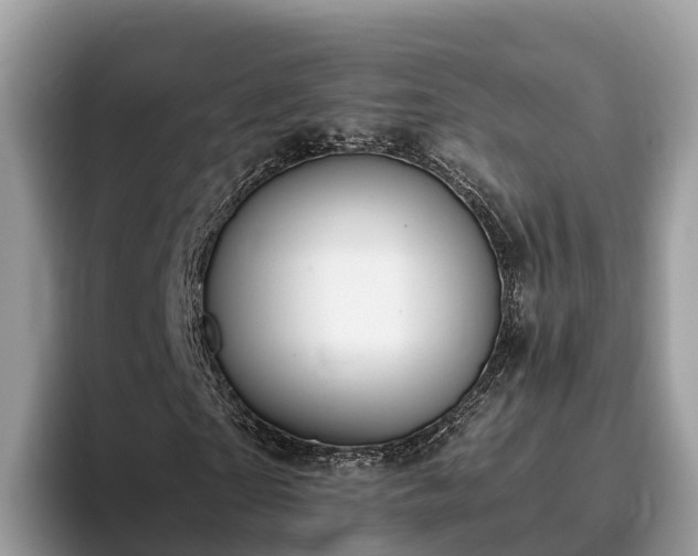 X0000093410865200710190943