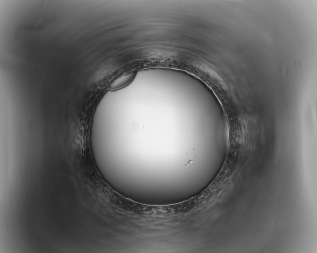 X0000093410869200710190943