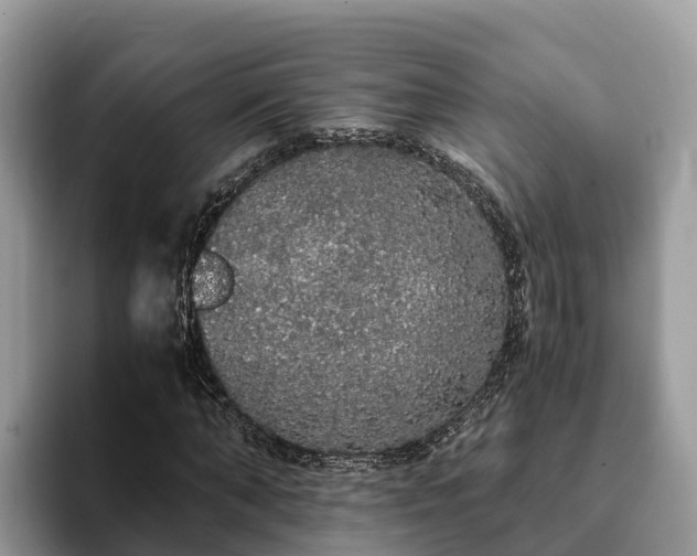 X0000093410870200710190943