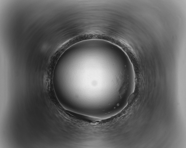 X0000093410872200710190943