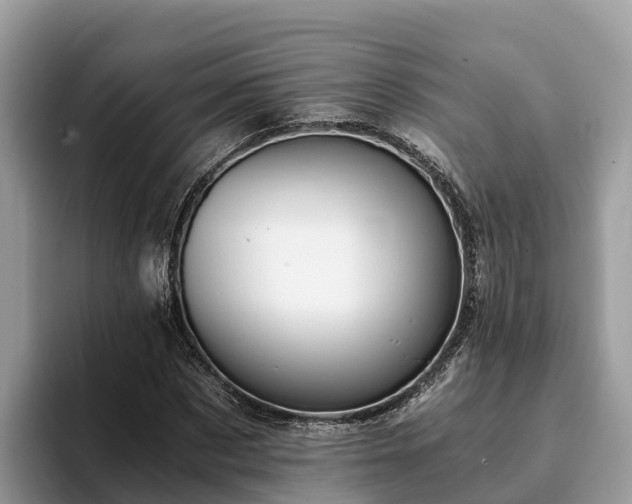 X0000093410873200710190943