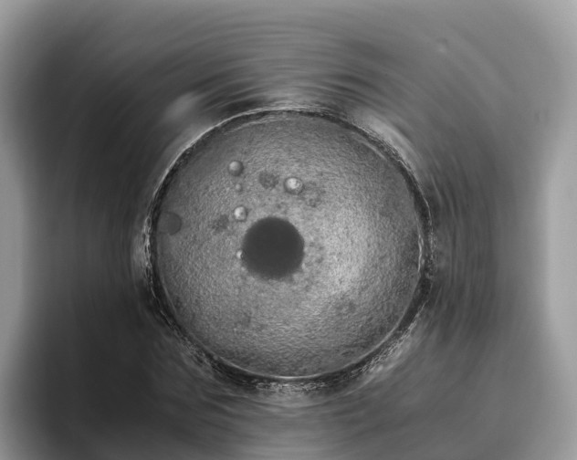 X0000093410875200710190943