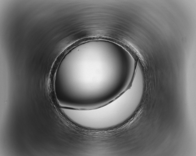 X0000093410876200710190943