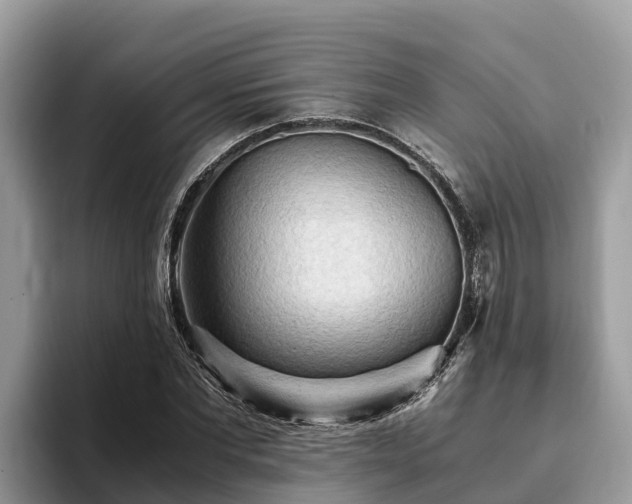 X0000093410877200710190943