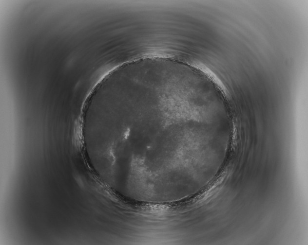 X0000093410878200710190943