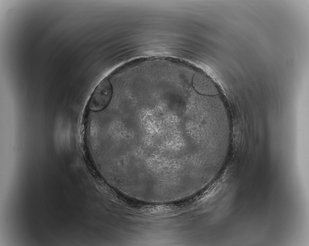 X0000093410879200710190943