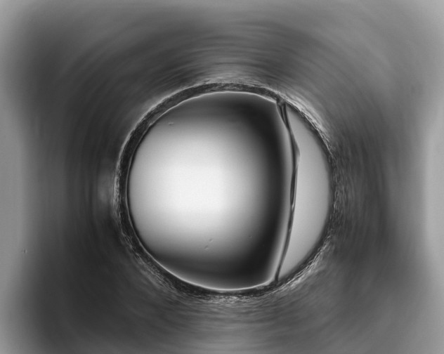 X0000093410880200710190943