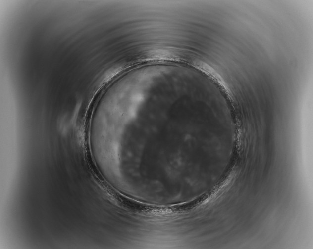 X0000093410882200710190943