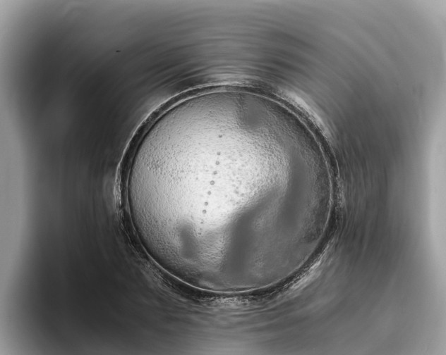 X0000093410883200710190943