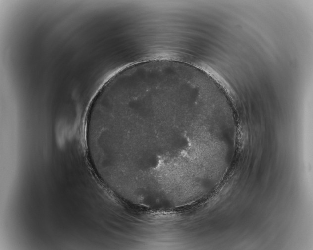 X0000093410886200710190943