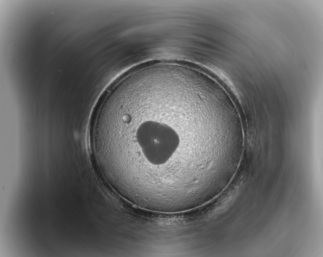 X0000093410887200710190943