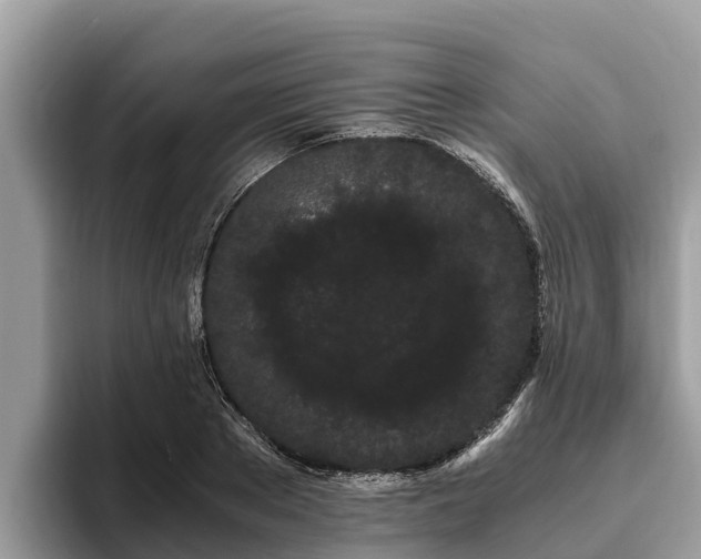 X0000093410889200710190943