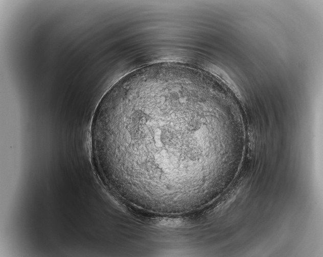 X0000093410890200710190943