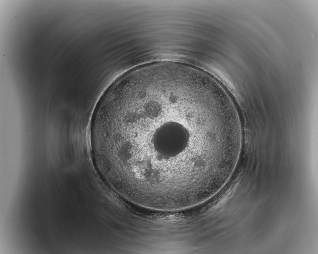 X0000093410891200710190942