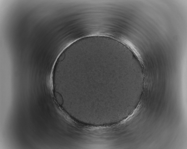 X0000093410892200710190942