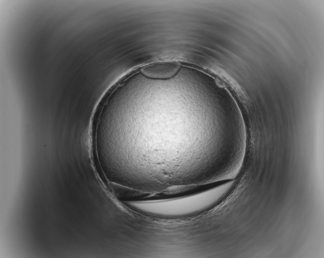 X0000093410894200710190942