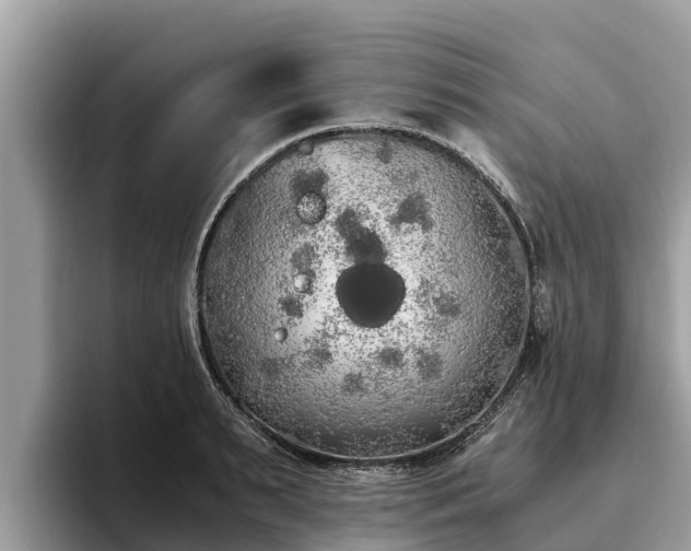 X0000093410895200710190942