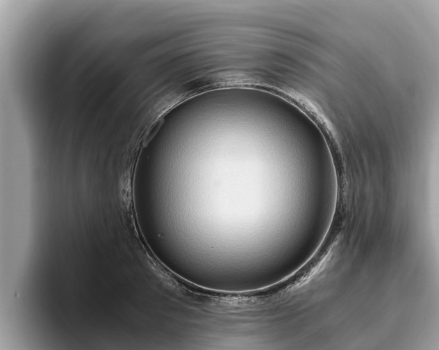 X0000093410897200710190942