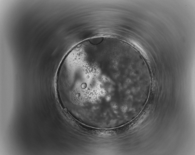 X0000093410899200710190942