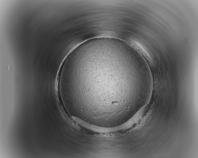 X0000093410900200710190942