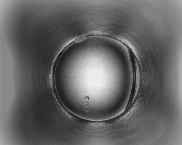 X0000093410902200710190942