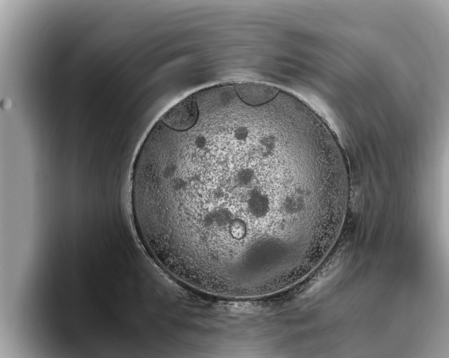 X0000093410903200710190942