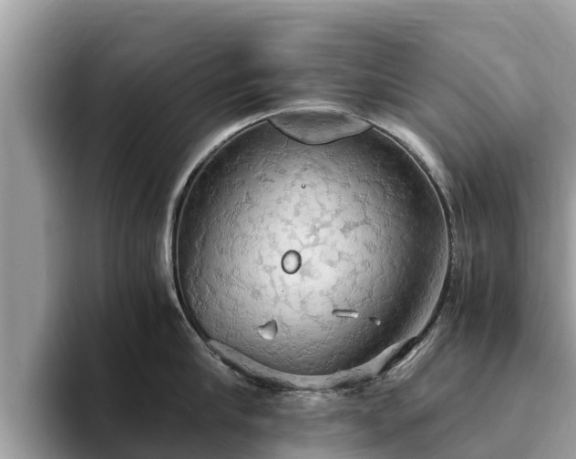 X0000093410910200710190942