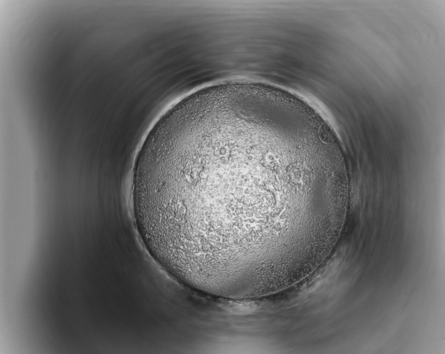 X0000093410911200710190942