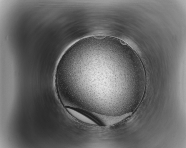 X0000093410912200710190942