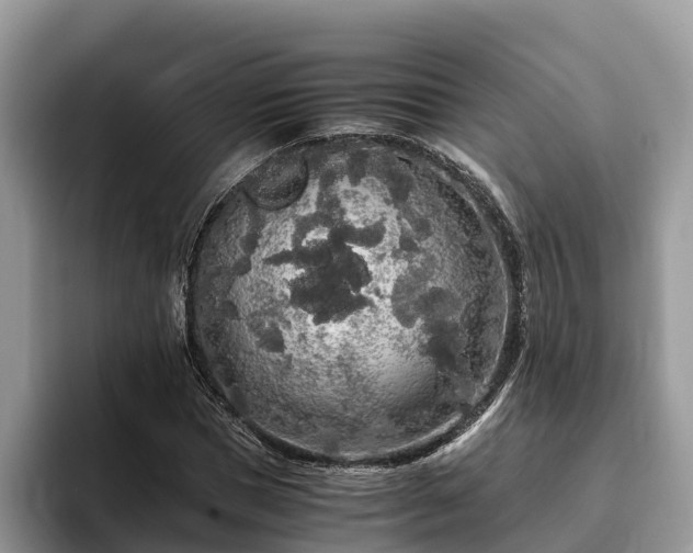 X0000093410921200710190942