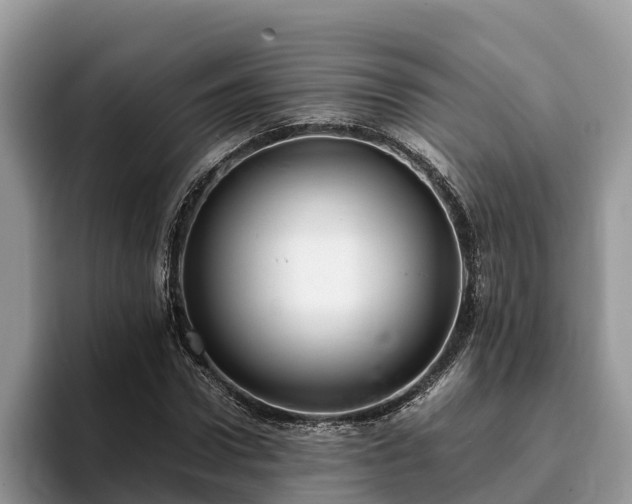 X0000093410922200710190942