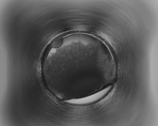 X0000093410923200710190942