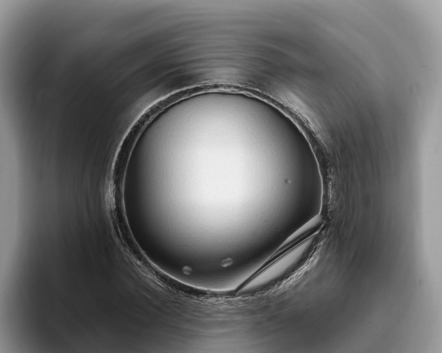 X0000093410924200710190942