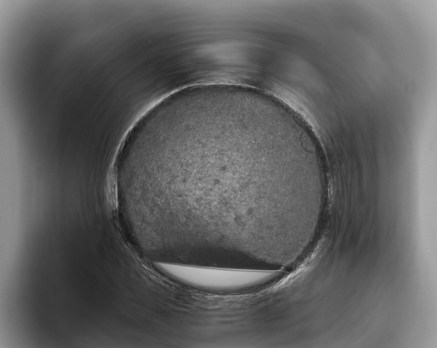 X0000093410925200710190942