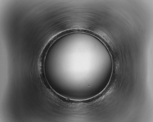 X0000093410926200710190942