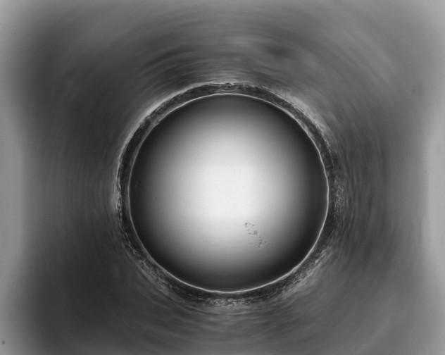 X0000093410927200710190942