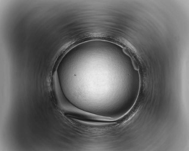 X0000093410930200710190942