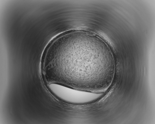 X0000093410932200710190942