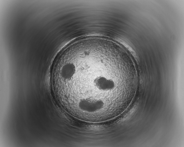 X0000093410933200710190942