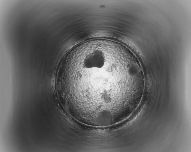 X0000093410937200710190942