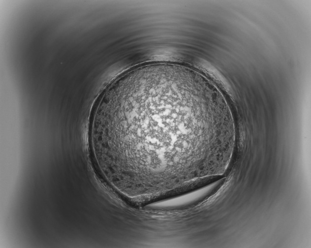 X0000093410938200710190942