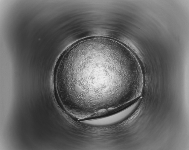 X0000093410939200710190942