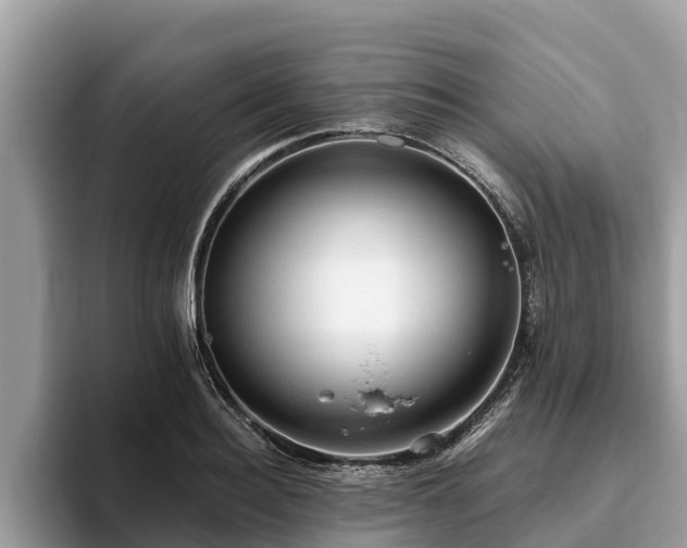 X0000093410940200710190942