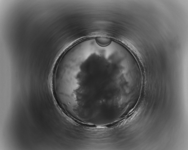 X0000093410941200710190942