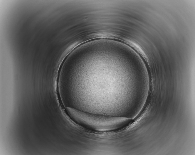 X0000093410946200710190942