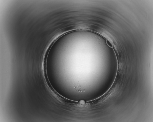 X0000093410947200710190942