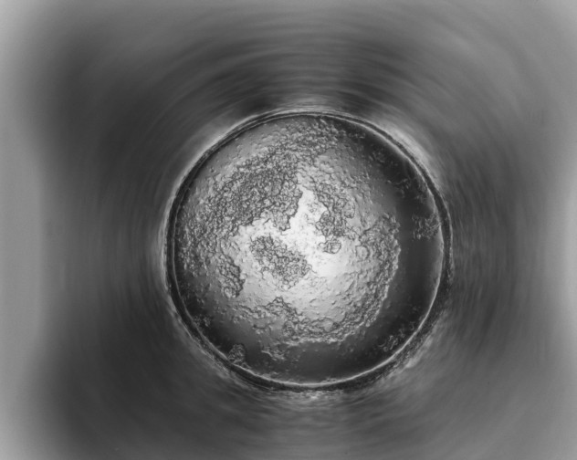 X0000093410949200710190942