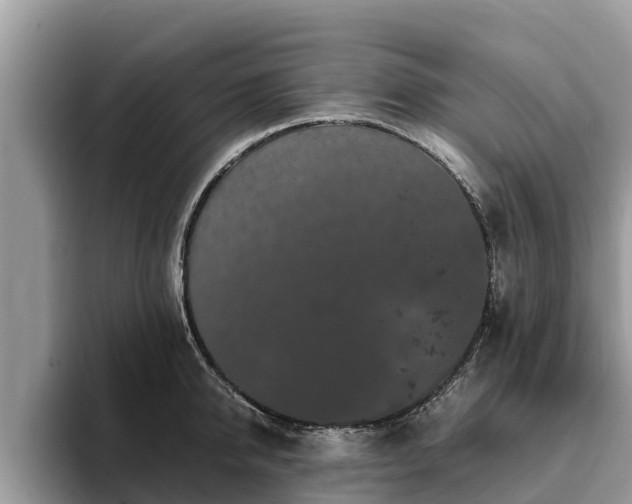 X0000093410950200710190942