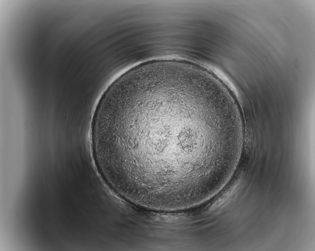 X0000093410951200710190942